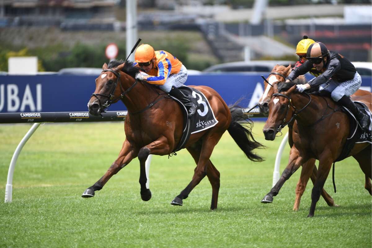 Sprinting to the Finish: The Karaka Millions 2026 Filly Showdown at Ellerslie